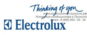 Установка кондиционера Electrolux в Пушкино, Продажа кондиционера Electrolux в Пушкино, тел.: 8 (495) 922-24-34